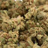 Sour Garlic THCa Hemp Flower Smalls - Plants